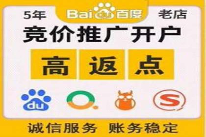百度SEO推广公司案例分析：成功案例解析